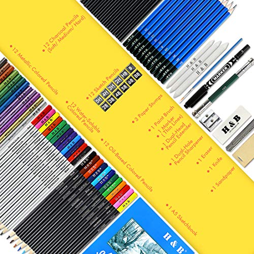 LadyRosian 71PCS Drawing Pencils Set, Portable Professional Sketch Kit, Graphite Charcoal Pencils Erasers Sketch Book Set Art Supplies for Kids, Adults and Artists