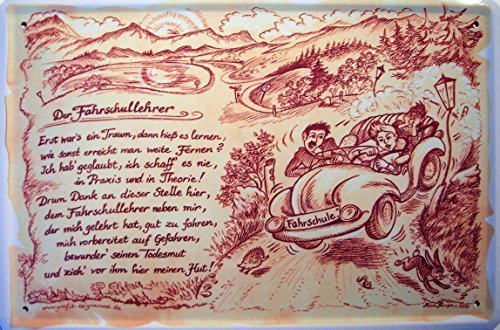 Diseño de placa de chapa metálica Profesional profesores de autoescuela Metal Tin Sign 20 x 30 cm