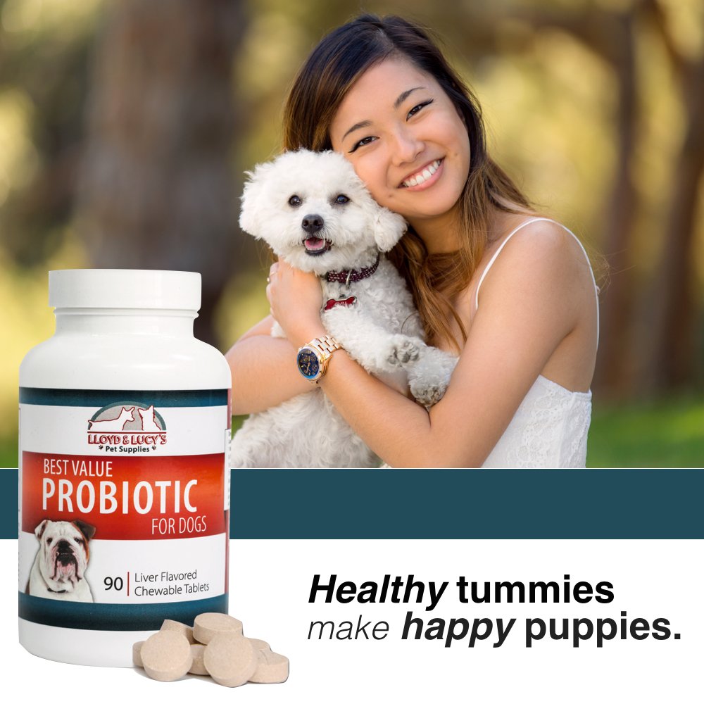 Best Value Probiotic for Dogs, 90 chewable Tablets, 7 Beneficial