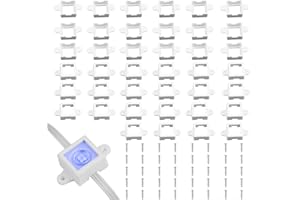 SIWBSYDD 40 Packs Light Clips Mounting Brackets for Govee Permanent Outdoor Lights , Compatible with Govee Mounting Brackets H705A H705B H705C H706A H706B H706C