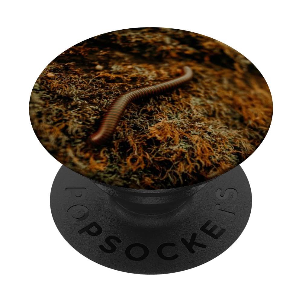 Worms in Earth PopSockets Swappable PopGrip