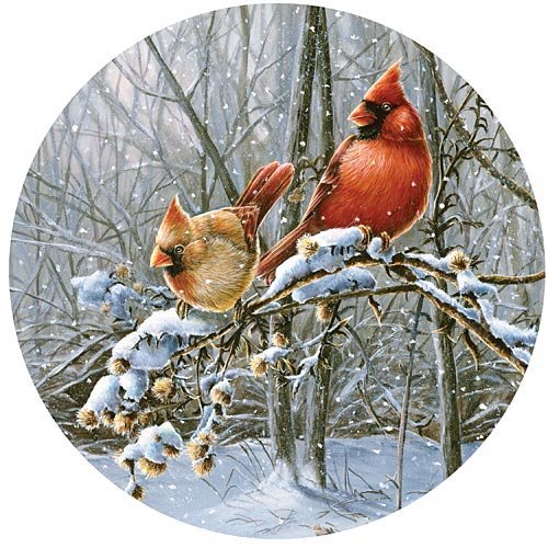 Bird Shaped Jigsaw Puzzles Jigsaw Puzzles For Adults