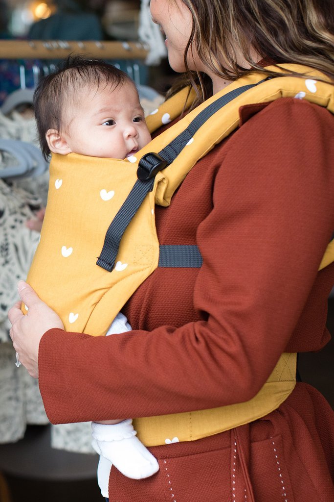 Baby Tula Ergonomic Free-to-Grow Baby Carrier - Play