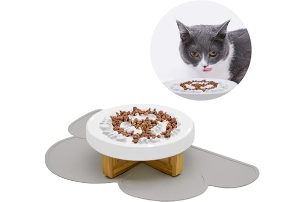 slow release cat feeder