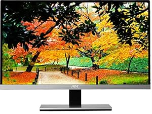 Front view of monitor displaying image of a park