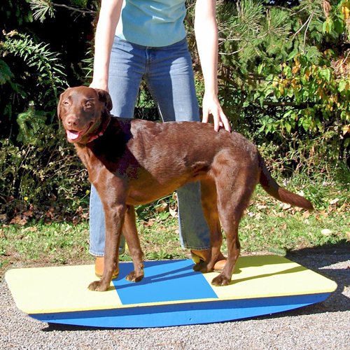 Affordable Agility Rocker Board