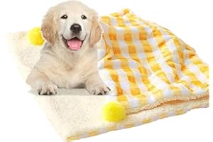 CLAYCLAY Cozy Calming Cat Blanket for Indoor Cats Ultra Soft and Warm Calming Cat Bed Flannel Cushion Pet Mat for Anxiety and Stress Washable Kitten Blanket (Orange)