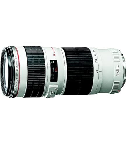 Canon EF 70-200mm f/4L USM Telephoto Zoom Lens for Canon SLR