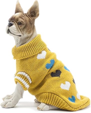 accesorios perros amazon