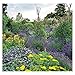Herb Gardens 2018 Wall Calendar: Recipes & Herbal Folklore