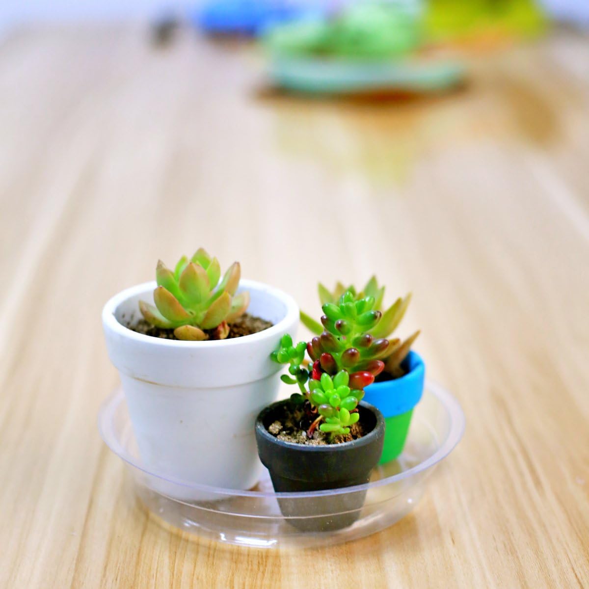 YIKUSH Clear Plant Saucers 18 Pack （6 inch / 8 inch /10 inch Flower Pot Tray Excellent for Indoor & Outdoor Plants : Garden & Outdoor