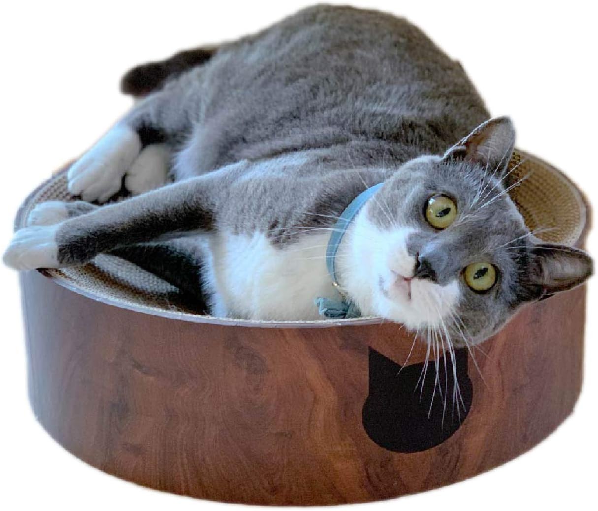cat scratching bowl