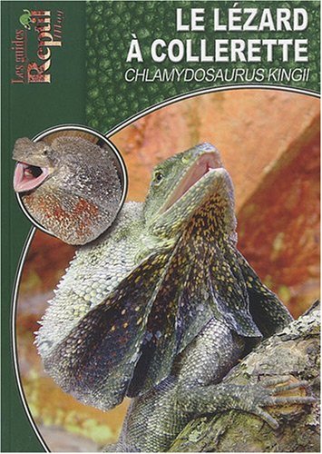 Le  lézard à collerette