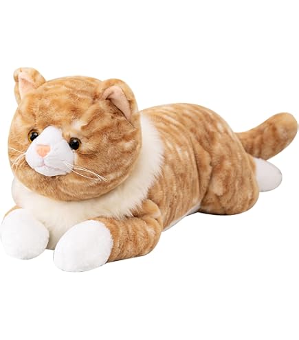 Amazon.com: 19 inch 3 Lbs Cat Weighted Stuffed Animals, Realistic