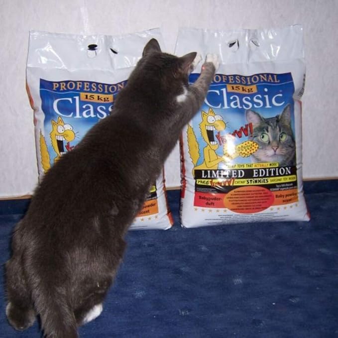 Tigerino arena gatos  Todo gatos