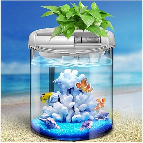 Amazon Co Jp 小さなガラスの魚の水槽生態学的水族館 円筒形の高精細ガラスの小さな魚の水槽デスクトップ金魚の水槽の風景 White A ホーム キッチン