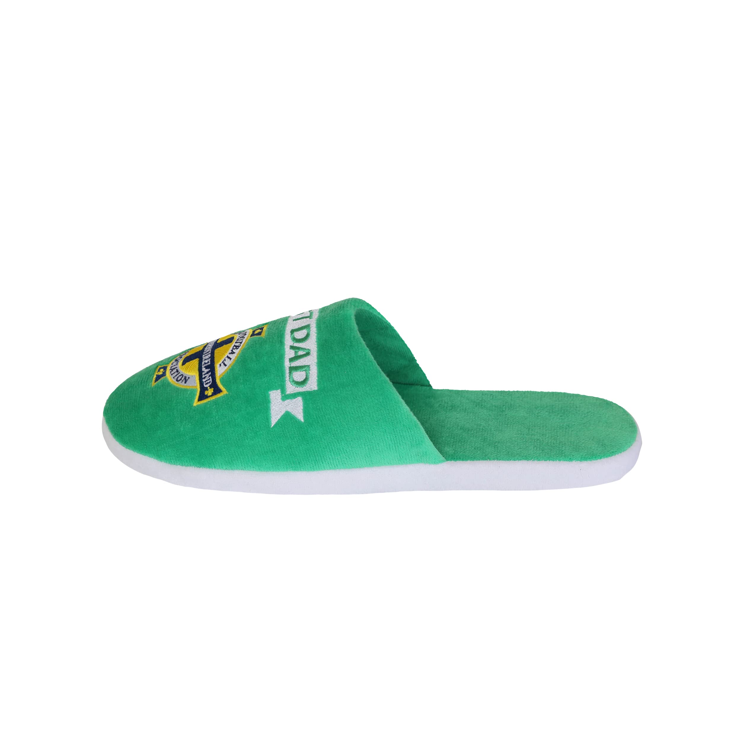 FOCO World Cup Euros Northern Ireland Fan Best Dad Slippers - Mens 8/9