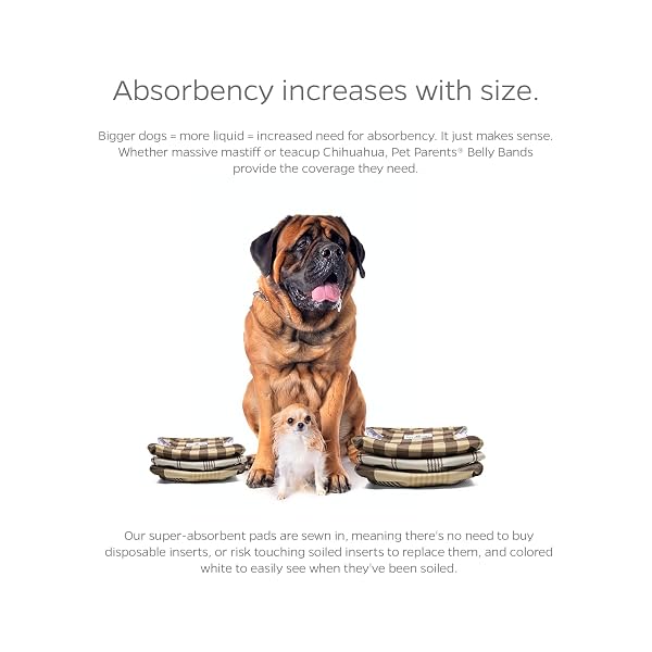 PET PARENTS® WASHABLE BELLY BANDS FOR MALE DOGS (3PACK) + EXTENDRS® OF DURABLE DOG DIAPERS MALE, PREMIUM MALE DOG DIAPERS & DOG WRAPS (X-LARGE, OXFORD)