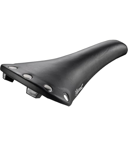 Amazon.com : SELLE SAN MARCO Regal Rino Leather Saddle