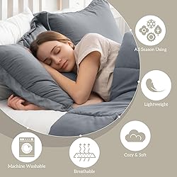 Homelike Moment Queen Comforter Set