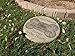 Personalized Pet Memorial Step Stone 11