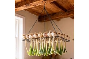 Tnstbiee Nordic Black Iron Garlic & Herb Drying Rack–Space-Saving 100-Hole Metal Dryer for Flower, Onions, and Grass–Rust-Resistant Hanging Organizer for Indoor & Outdoor Use–Ideal for Home Gardeners