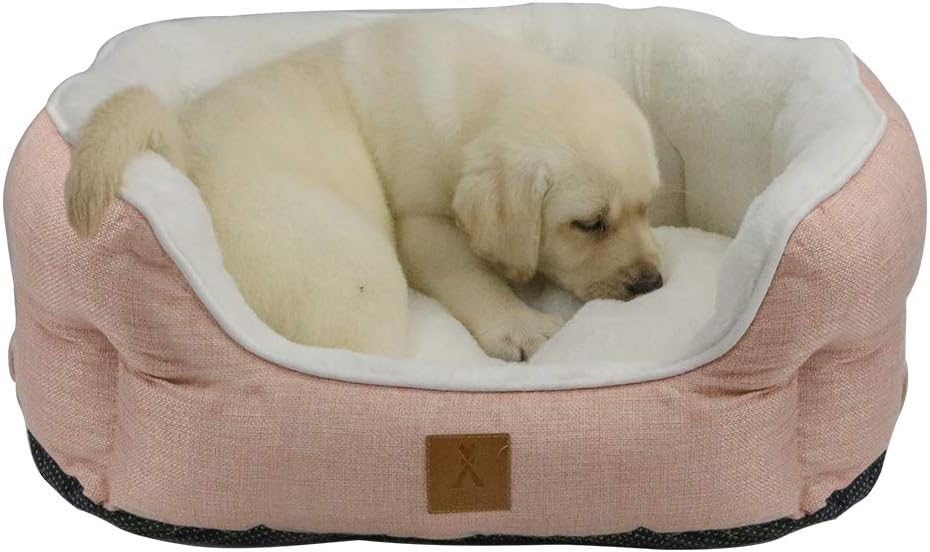 how to bathe a shih tzu puppy