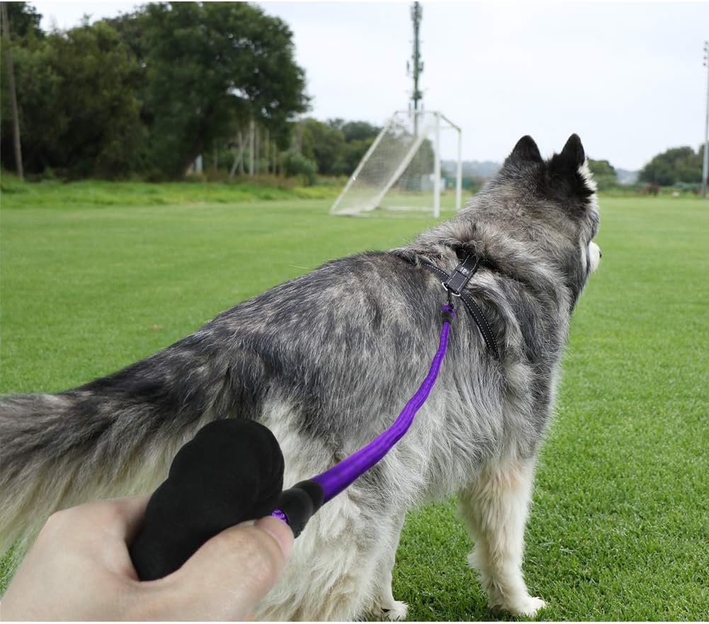 Taglory Rope Dog Lead with Soft Padded Handle, 1.2 m Reflective Lead and Multi-Colour for Small Dogs 1.0 cm, Purple - Image 3
