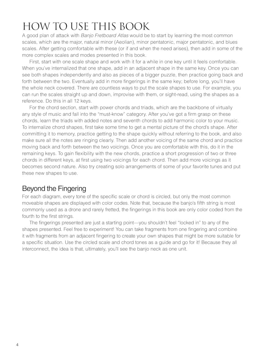 Banjo Fretboard Atlas: Get a Better Grip on Neck Navigation!