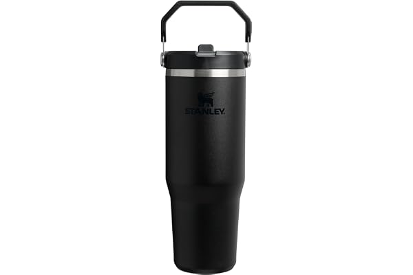 STANLEY IceFlow 2.0 Flip Straw Tumbler with Handle 30 oz | Twist On Lid and Flip Up Straw | Leak Resistant Water Bottle | Ins