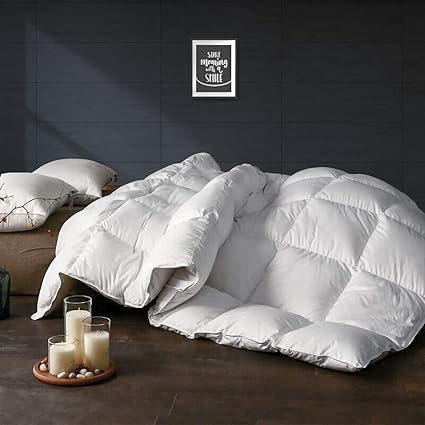 Apsmile Luxurious Twin Size All Seasons Goose Down Comforter