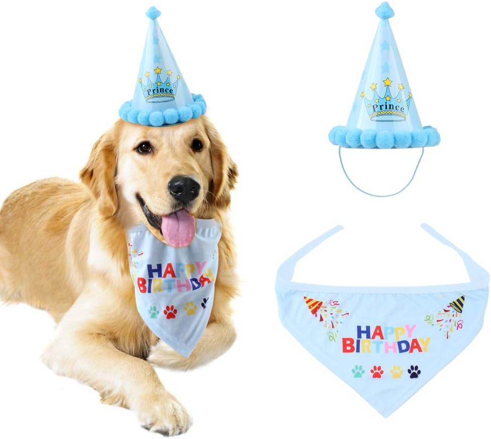 happy birthday dog hat