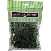 Quality Growers - Preserved Spanish Moss - Decorative Dried Moss for Crafts, Home Decor, Art, Design & DIY Projects - for Indoor Use - Forest Green - Small Size