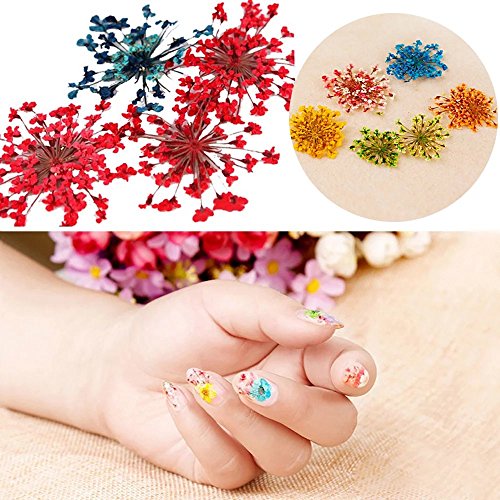EYX Formula Set of 12 Different Dry Flowers Colors DIY Nail Art 3D Nail Stickers Nail Supplies Dried Flowers Nial Decoration Tool for Manicure - Thumbnail 2