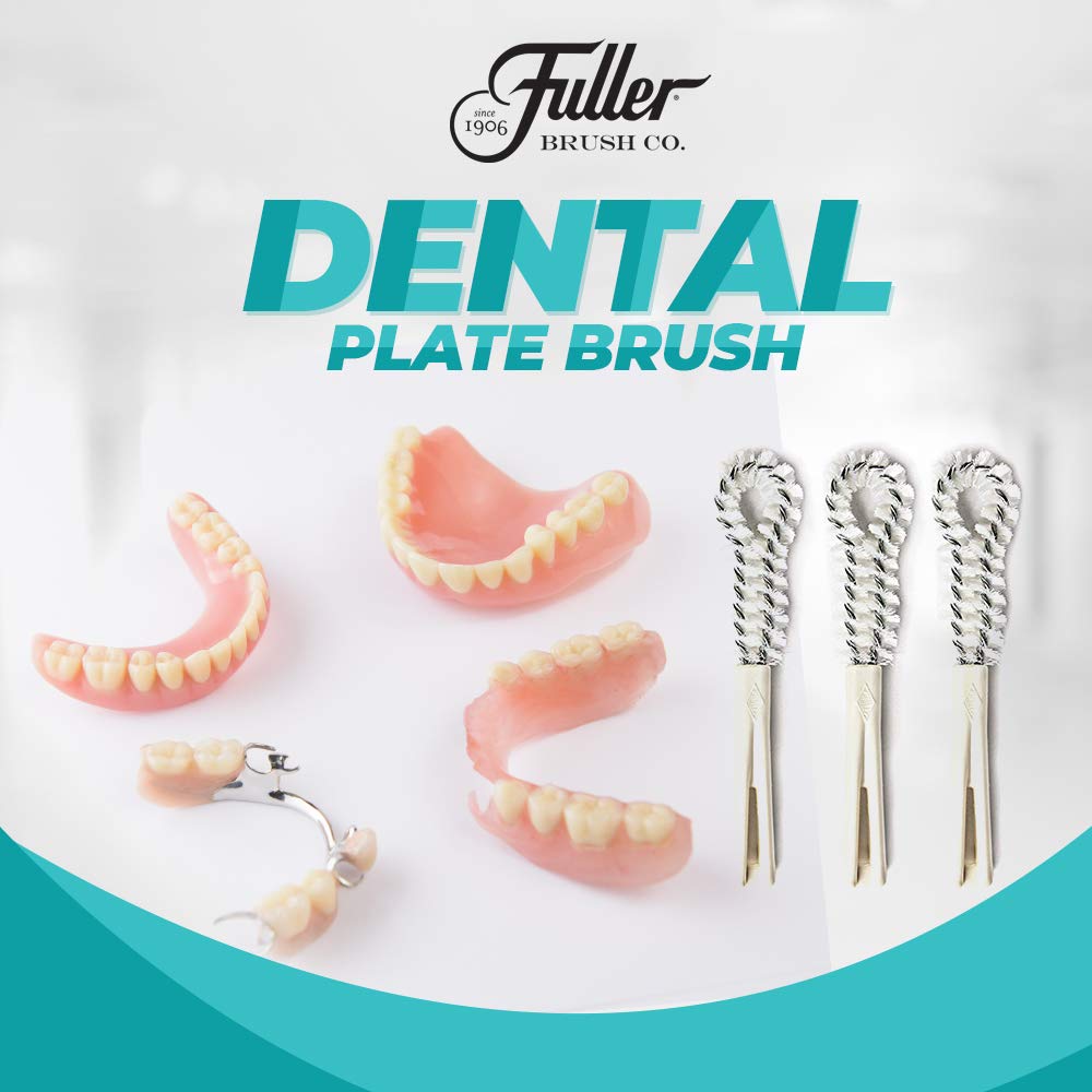 Fuller Brush Dental Plate Brush - High Quality Soft Hygienic Denture Cleaner - Small & Flexible Cleaning Tool for Dentures & Plates - Oral Hygiene for Men & Women (1-Count): Home & Kitchen