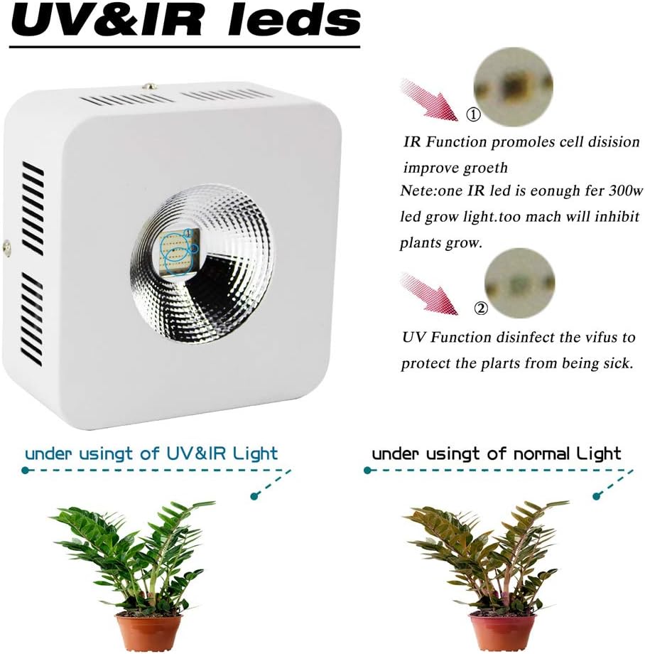 Led Plant Lamp Winter 200 W Plant Light Led Grow Lamp With Red Blue Light For Plants Growth In Greenhouse Amazon De Kuche Haushalt