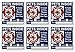 SecurePro Products 6 Pets Inside Blue Safety Alert Warning Window Door Stickers; in Fire or Emergency Notify Rescue Personnel to Save Pet