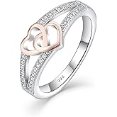 FJ Promise Ring for Her 925 Sterling Silver Double Heart Ring Engagement Anniversary Wedding Eternity Ring for Women