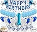 First Birthday Decorations For Boy 114 Pk One Balloon 1 Balloon For First Birthday, First Birthday Cake Topper, 1st Birthday Photo Banner, First Birthday Hat First Birthday Crown 1st Birthday Backdrop