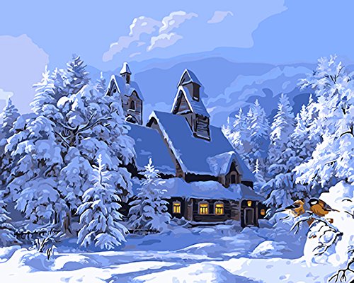 CaptainCrafts Paint by Numbers for Adults DIY Oil Painting Paint by Numbers with Canvas Acrylic Art Crafts House Decor 16x20 Inch (Frameless, Villa Snow View)