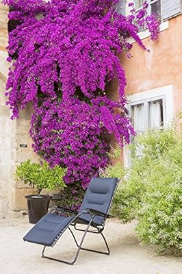 lafuma evolution air comfort zero gravity chair