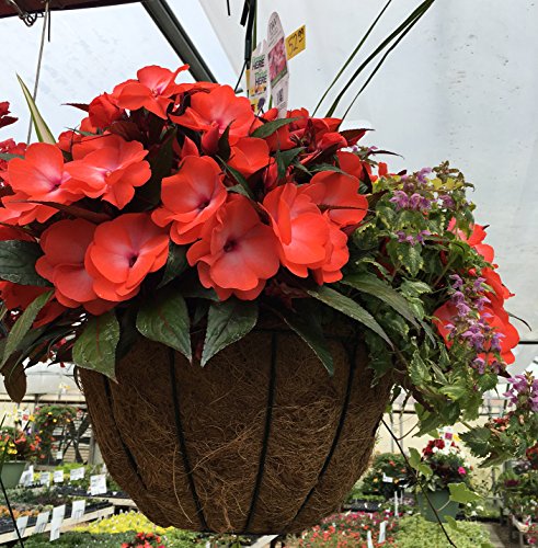 18" Classic Master Gardner Planter Green with Coco Moss Liner and Rigid Wire Hanger