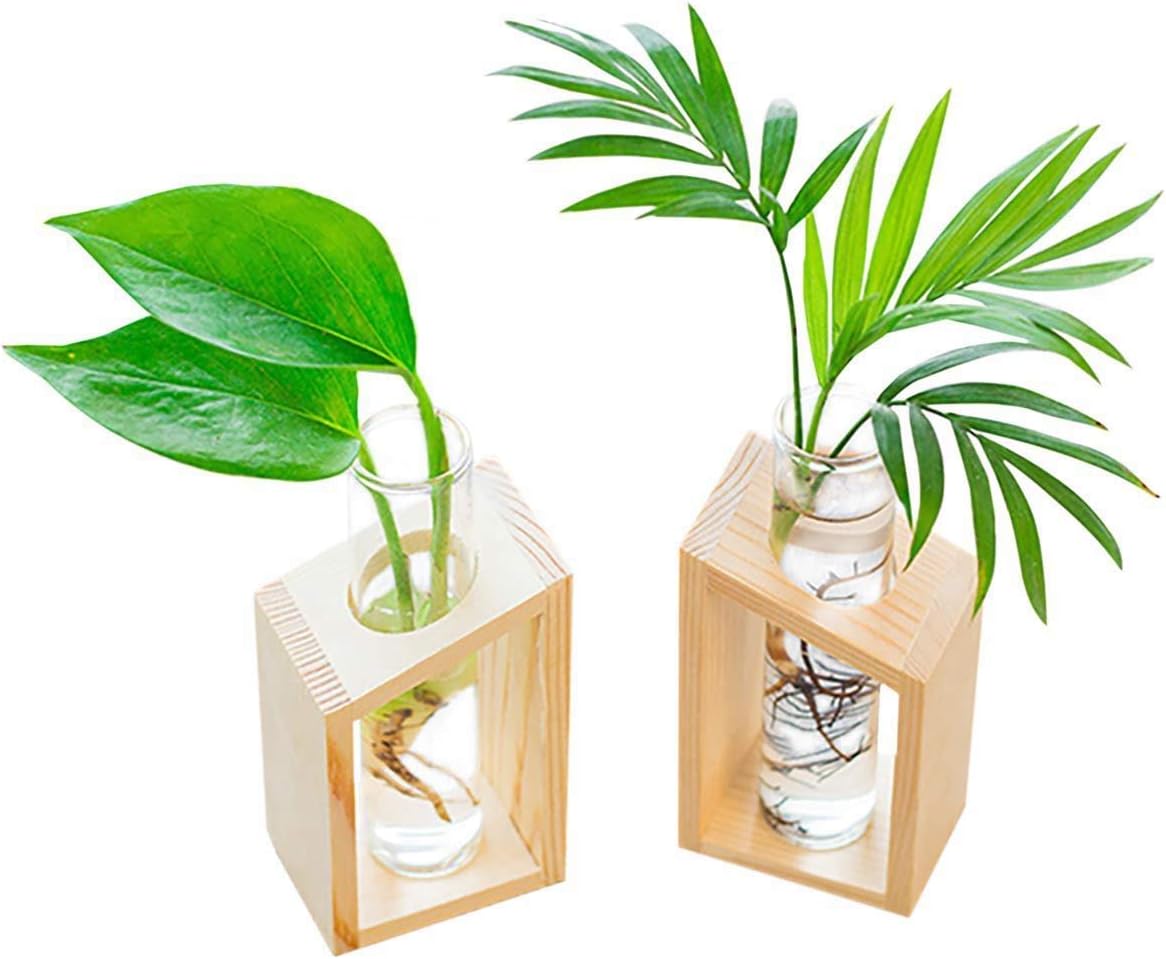 Cikuso Crystal Glass Test Tube Vase in Wooden Stand Flower Pots for Hydroponic Plants Home Garden Decoration