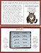 Magnetic Poetry Psycho Kitty Magnetic Word Kit