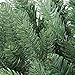 Northlight Mixed Pine Artificial Christmas Teardrop Swag, 30