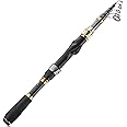 PLUSINNO Fishing Rod and Reel Combo,Fishing Pole,Telescopic Fishing Rod Kit with Spinning Reel, Telescopic Fishing Pole with Carrier Bag for Freshwater Saltwater for Men Women