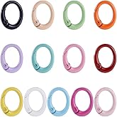 SUNNYCLUE 1 Box 26Pcs 13 Colors Spring Gate Rings Oval Ring Clip Bulk Metal Alloy Colorful Round Carabiner O Keychain Key Ring Snap Clips Buckle for Keys Bags Purses Handbag DIY Crafts Accessories