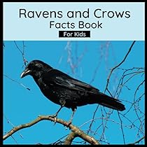 Hello, Crow: Savage, Candace, O'Byrne, Chelsea: 9781771644440