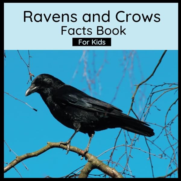 Little Raven: Educational Children's Picture Book About Ravens