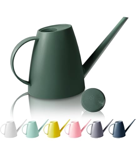 Amazon.com: Blomus Planto Stainless Steel Watering Can, 1 L